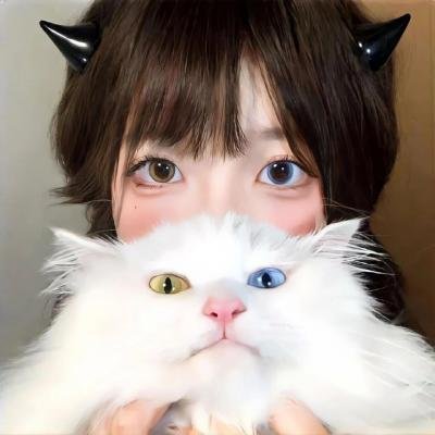 小鸟之翼第二季